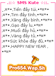 Tải Ứng Dụng Gửi SMS Tết 2014