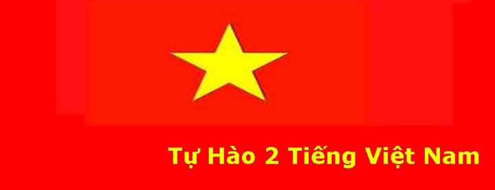 Download avatar hinh anh la co to quoc viet nam dep cho facebook